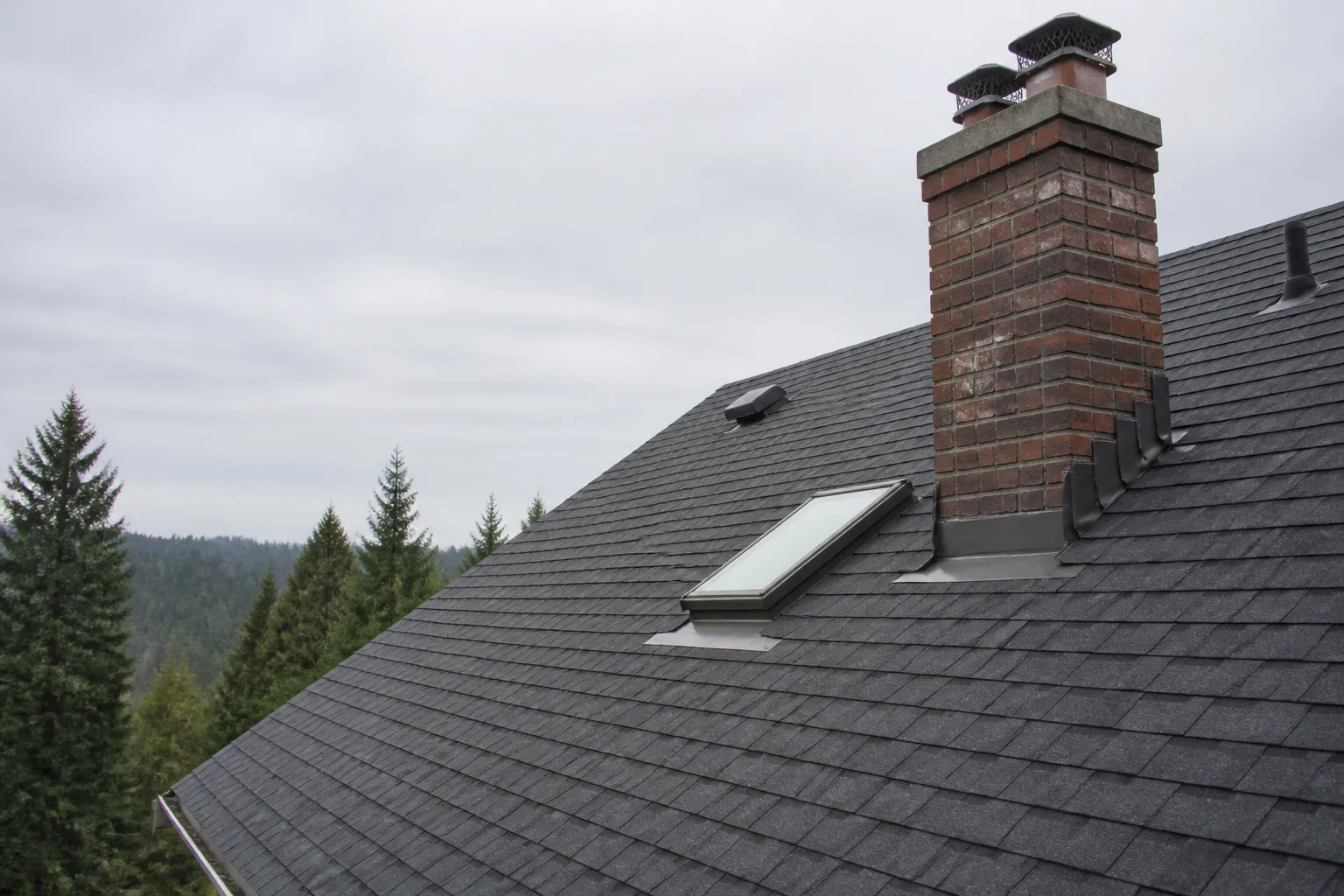 Roof Inspection