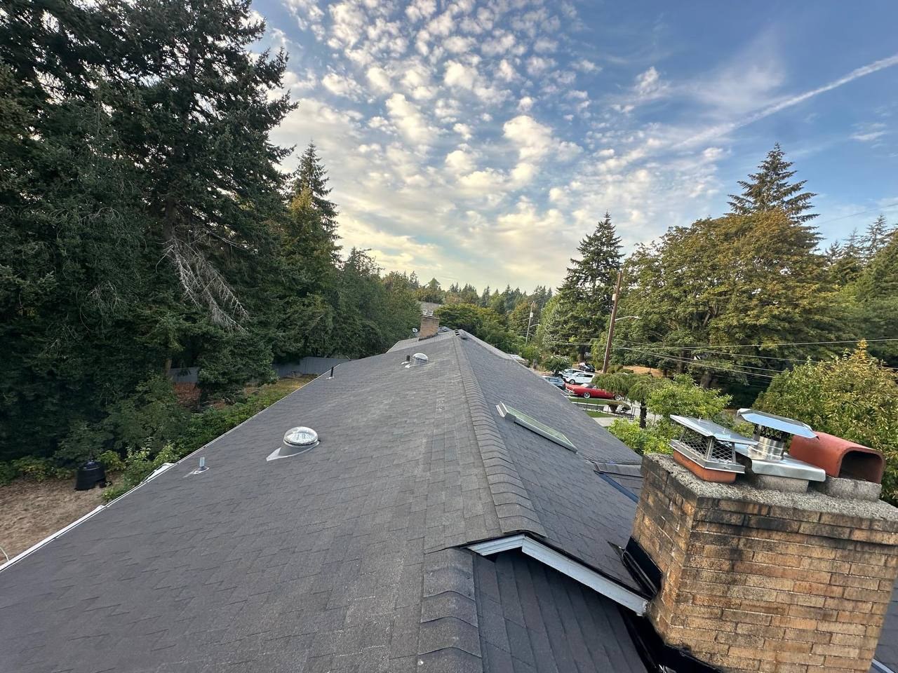 Heron 05 roof replacement skylight chimney evergreens